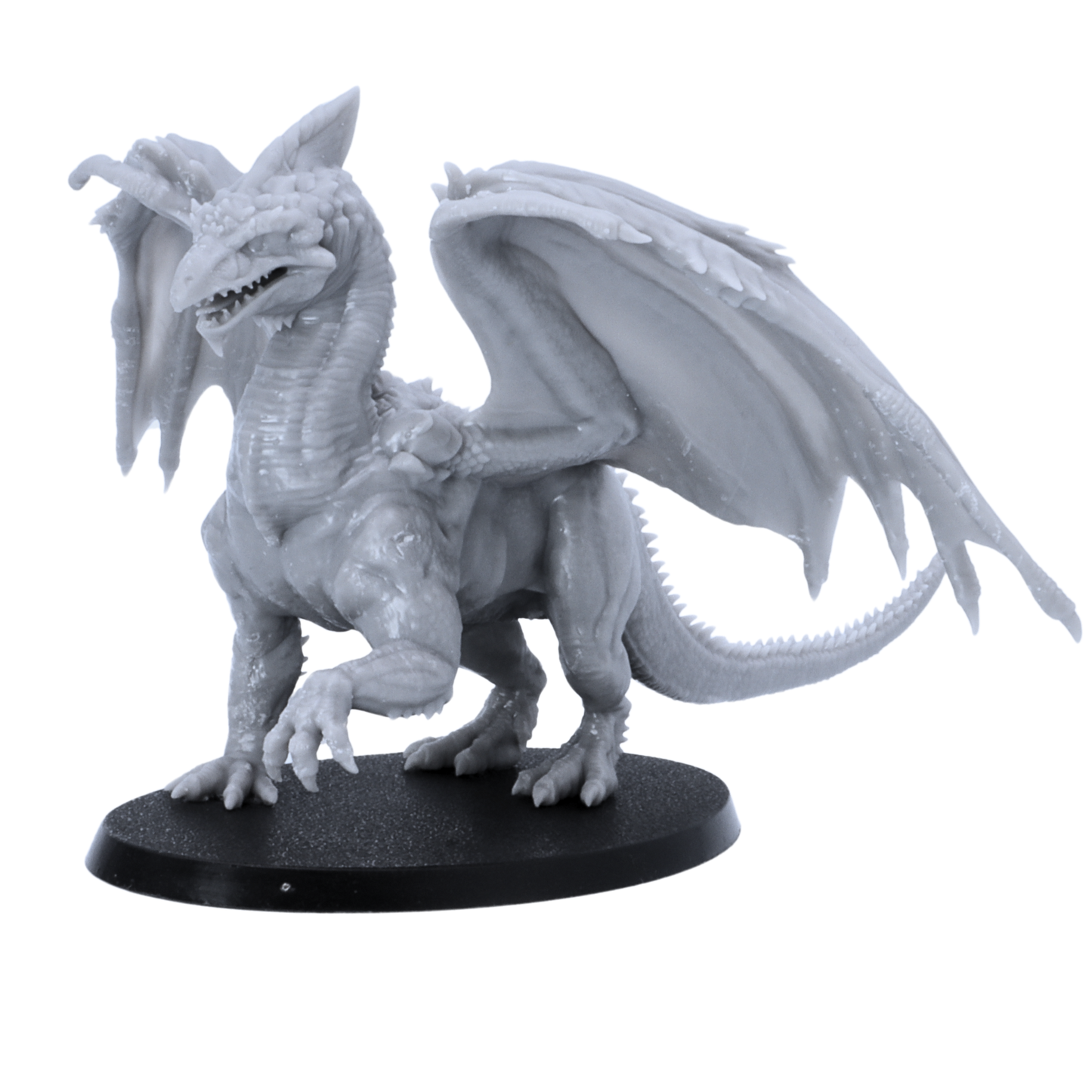 Three-quarter view of an unpainted Adult White Dragon fantasy miniature with wide wings, open mouth, long tail, claws, and detailed scales.