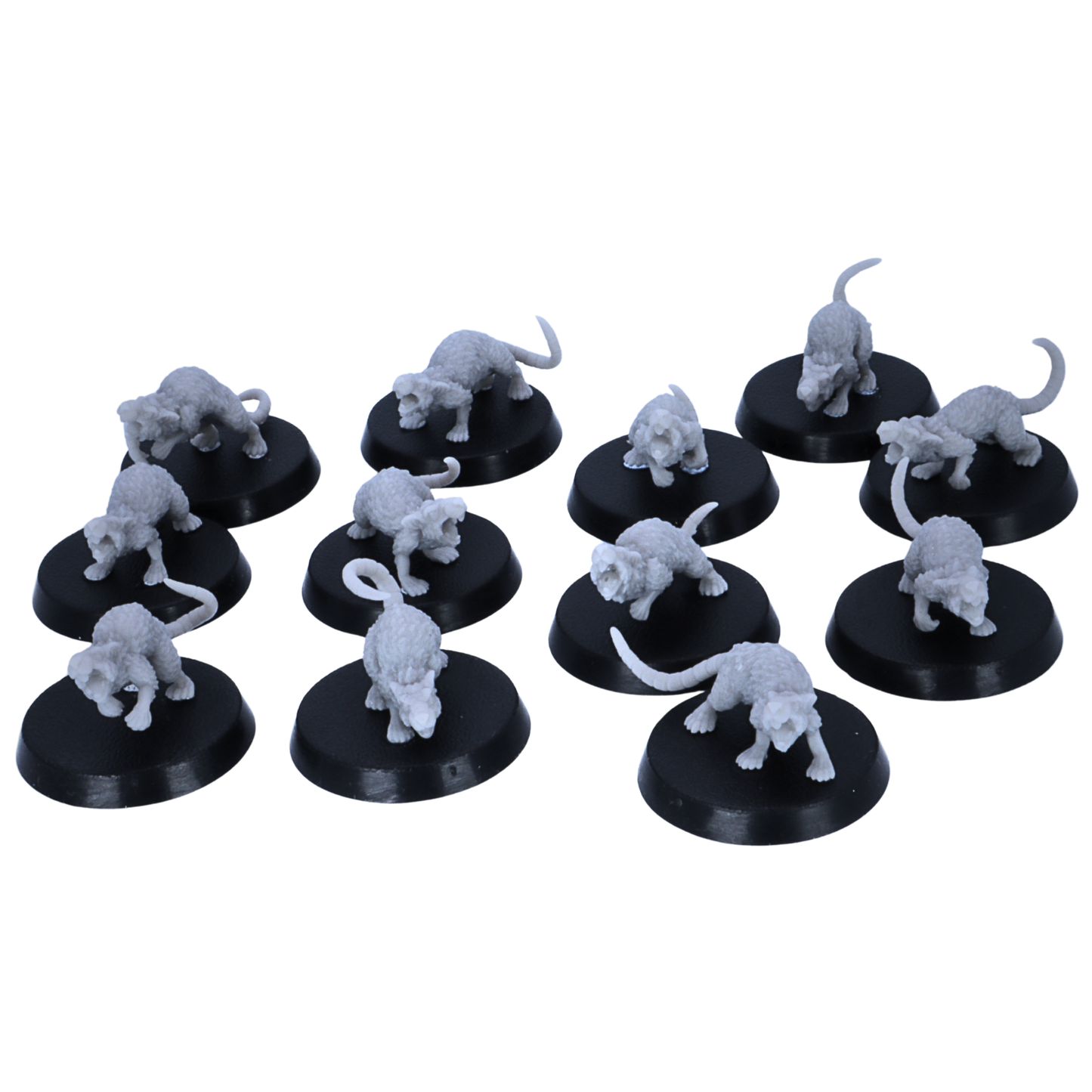 Unpainted Giant Rats pack showing twelve resin rat miniatures on 25mm round bases.