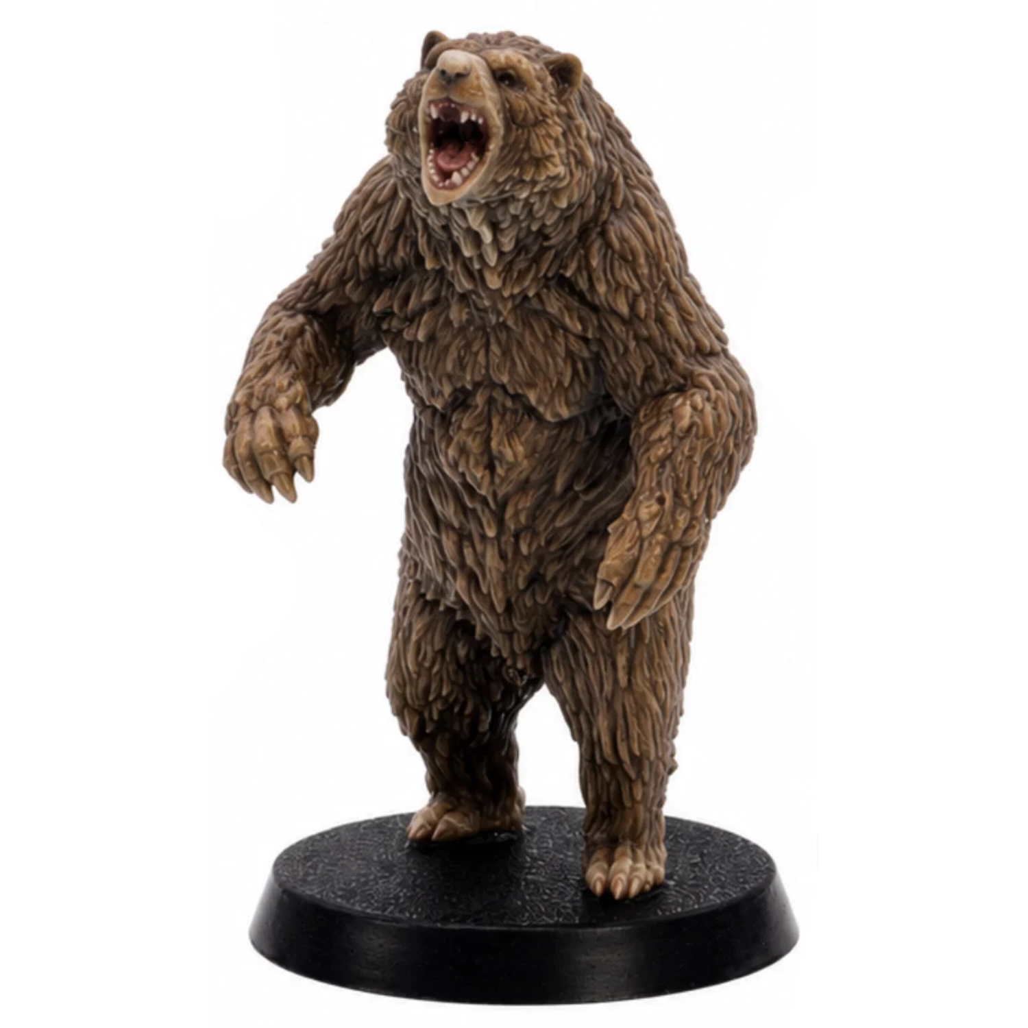 Bears