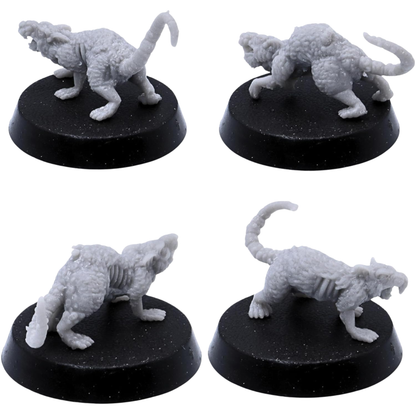 Giant Pox Rats Miniatures Set | 12 Diseased Fantasy Rat Figures | 32mm Scale | Resin Warfare