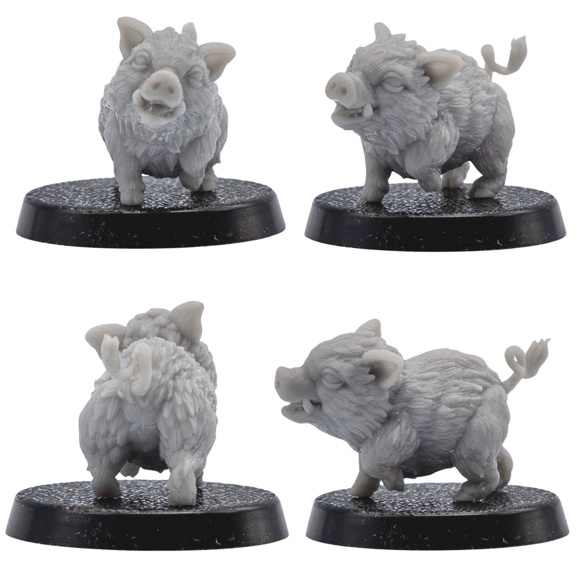 Unpainted baby boar familiar shown from multiple angles on a 25mm round base.