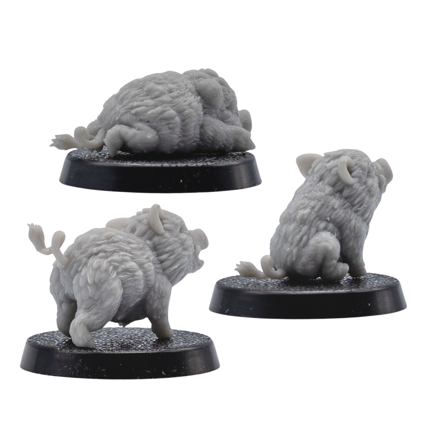 Back angle view of three unpainted Baby Boar Familiar resin miniatures showing rear fur texture, curled tails, and 25mm round bases.