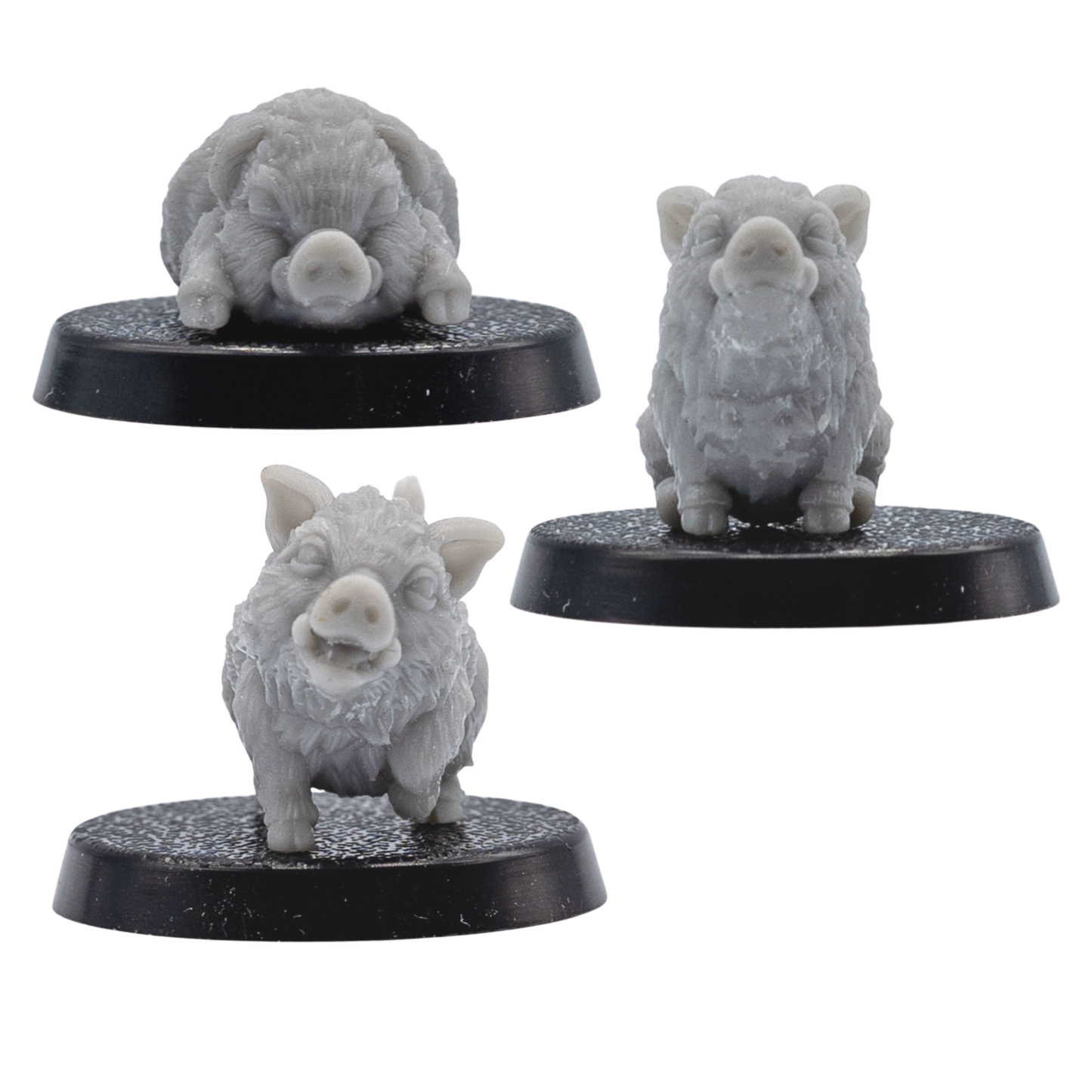 Front view of three unpainted Baby Boar Familiar miniatures showing expressive faces, tiny tusks, fur texture, and round bases.