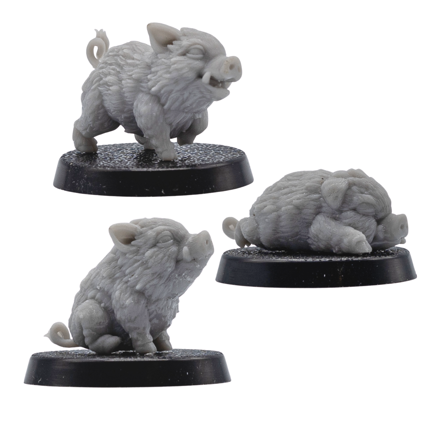 Side view of unpainted Baby Boar Familiar miniatures showing detailed fur texture, small tusks, curled tails, and 25mm round bases.
