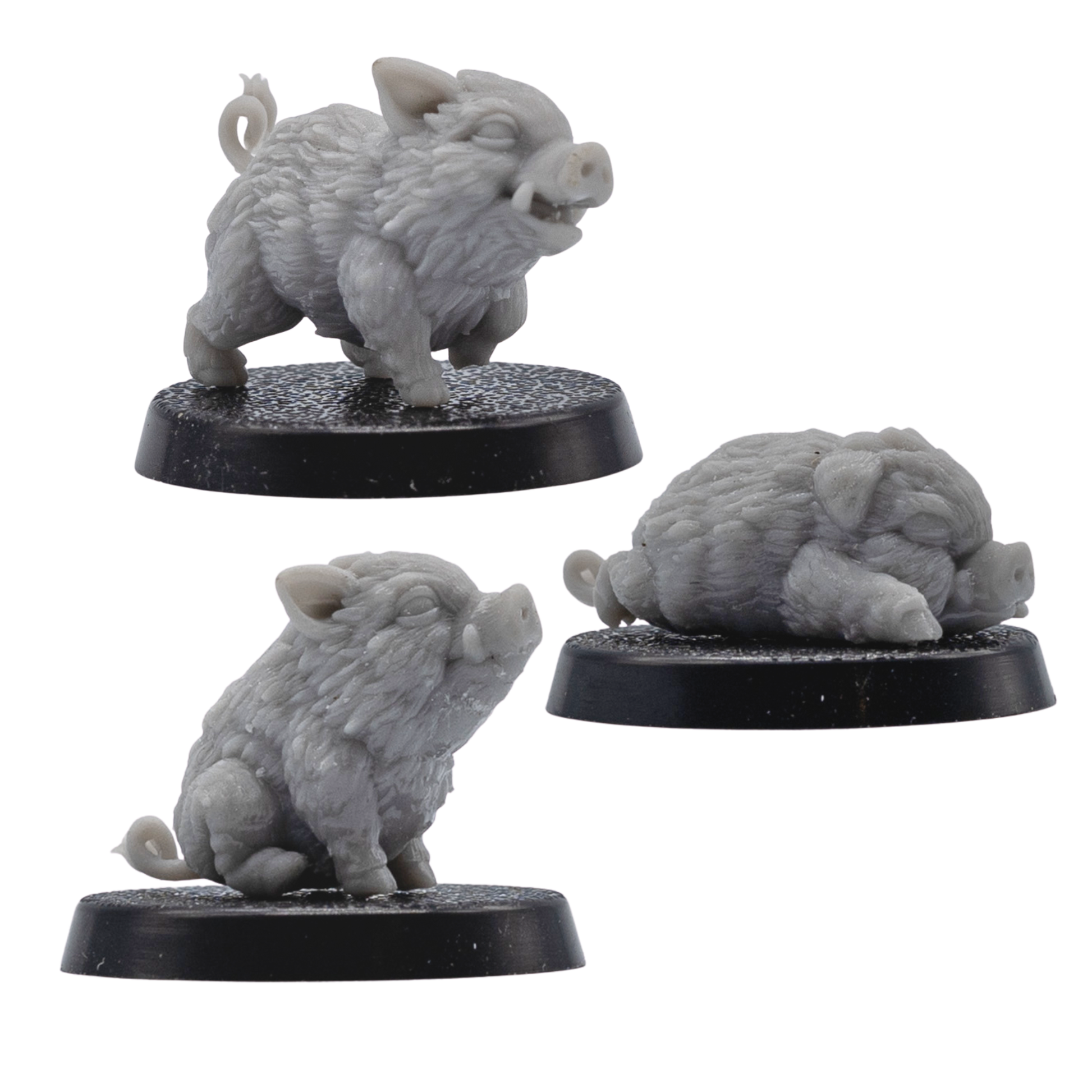 Side view of unpainted Baby Boar Familiar miniatures showing detailed fur texture, small tusks, curled tails, and 25mm round bases.