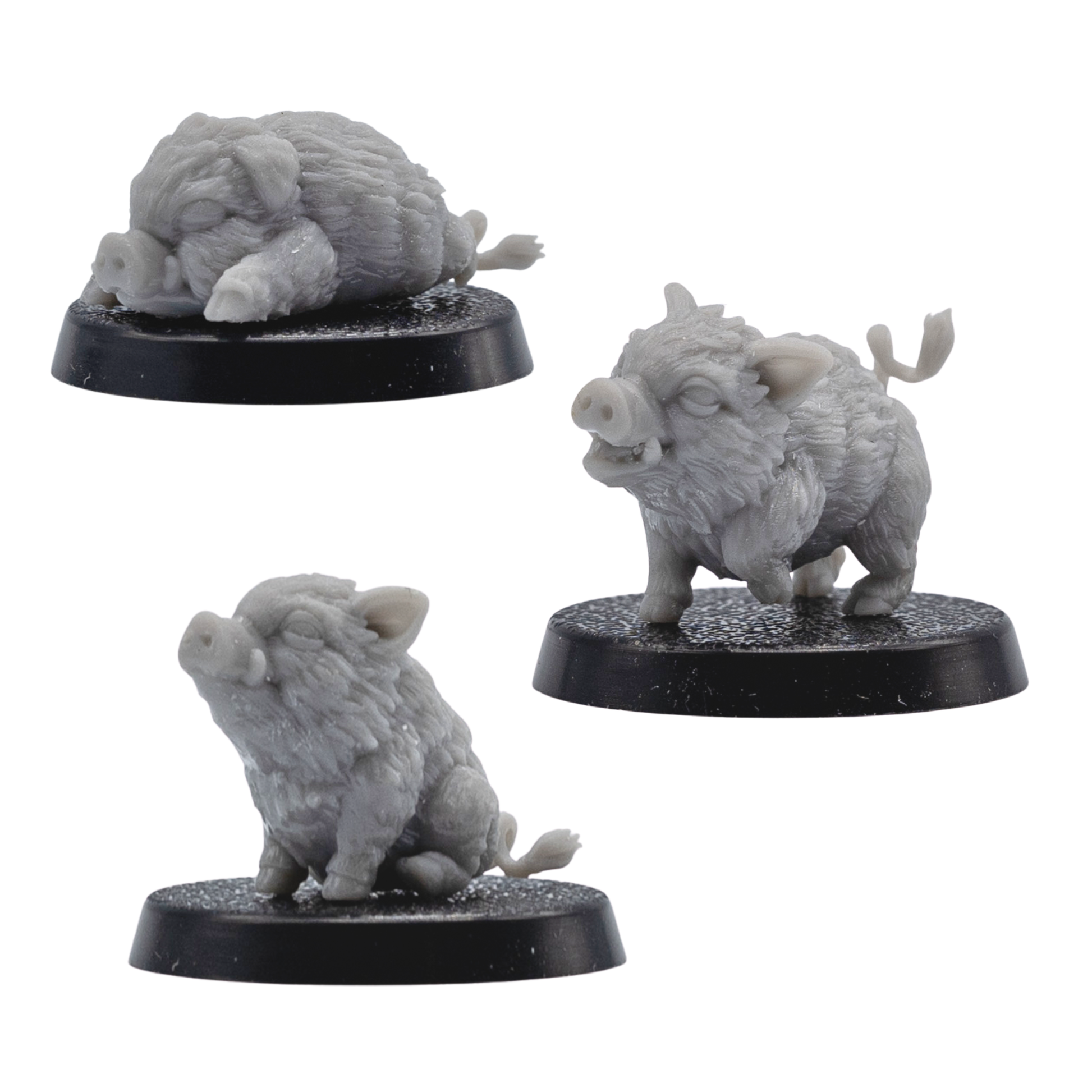 Front angle view of three unpainted Baby Boar Familiar resin miniatures showing standing, sitting, and sleeping poses on round bases.