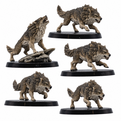 Painted example of five Dire Wolf fantasy tabletop miniatures by Forged Path Miniatures for wilderness encounters and wargaming.