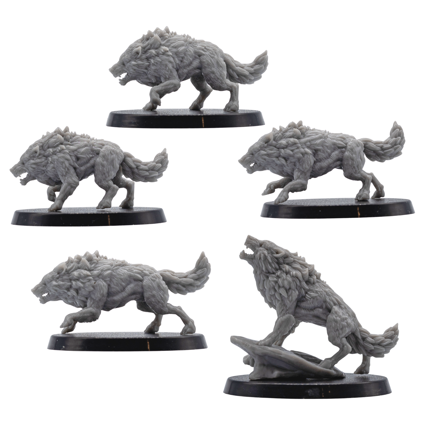 Profile views of five unpainted Dire Wolf fantasy miniatures by Forged Path Miniatures for tabletop RPG encounters.