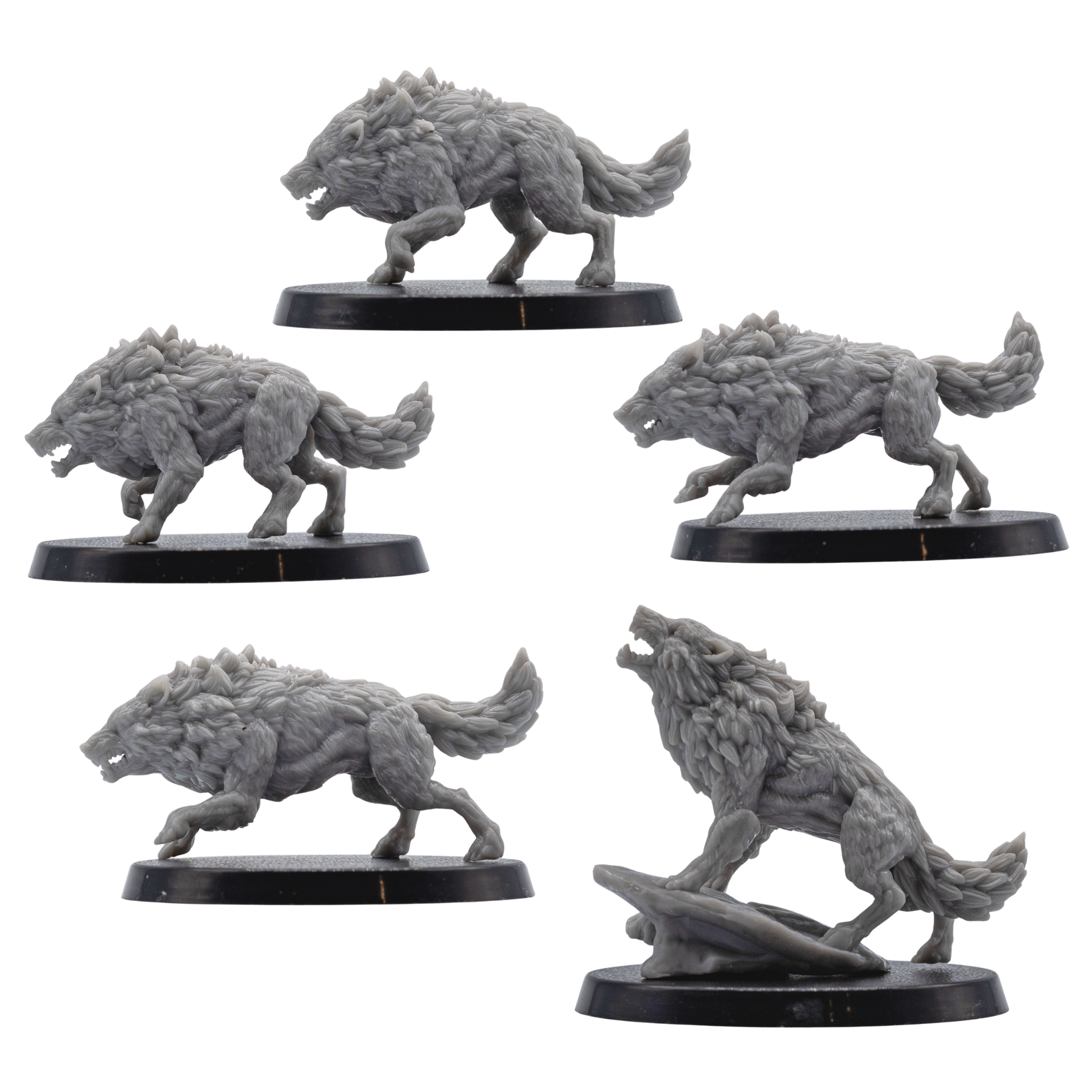 Profile views of five unpainted Dire Wolf fantasy miniatures by Forged Path Miniatures for tabletop RPG encounters.