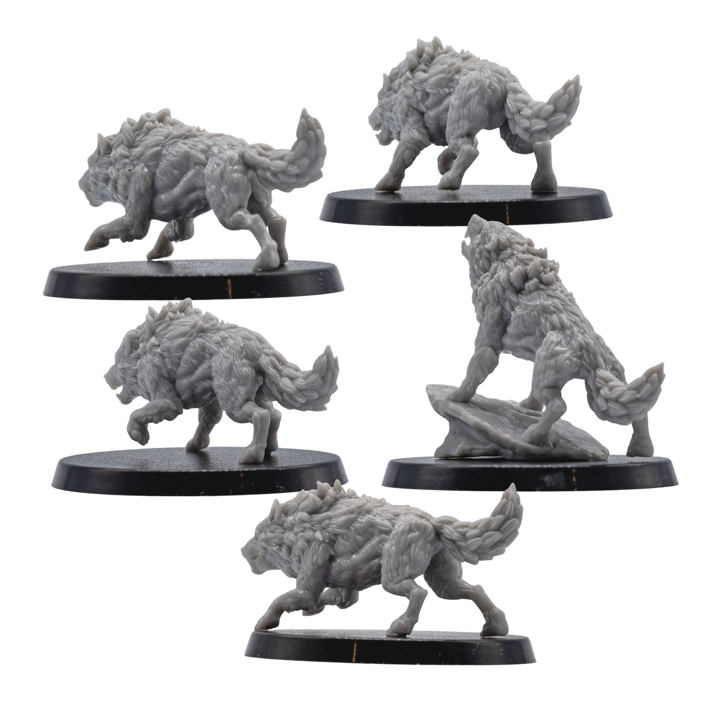 Rear views of unpainted Dire Wolf miniatures showing fur texture, tails, running poses, and resin sculpt detail.
