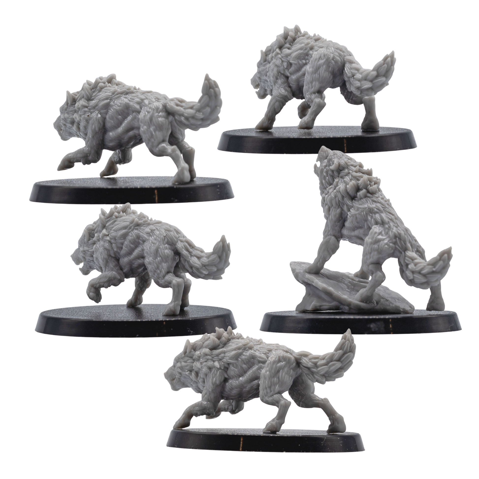 Rear views of unpainted Dire Wolf miniatures showing fur texture, tails, running poses, and resin sculpt detail.