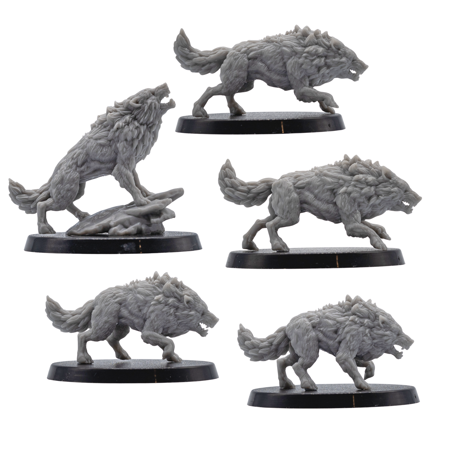 Side views of unpainted Dire Wolf resin miniatures showing dynamic running poses, detailed fur, claws, and 40mm bases.