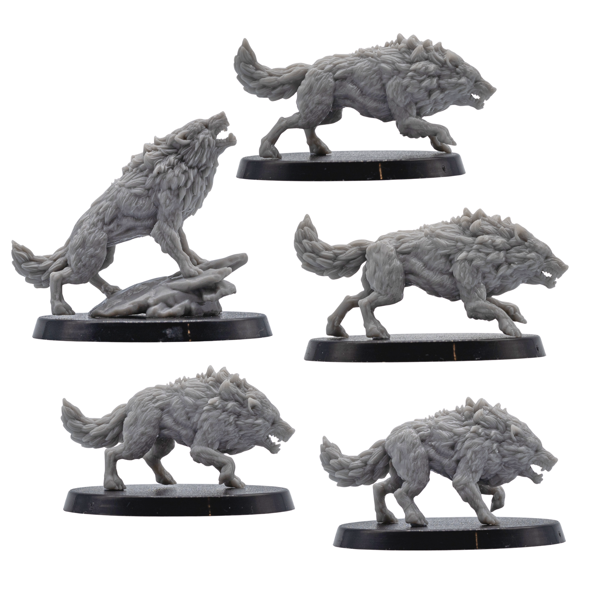 Side views of unpainted Dire Wolf resin miniatures showing dynamic running poses, detailed fur, claws, and 40mm bases.