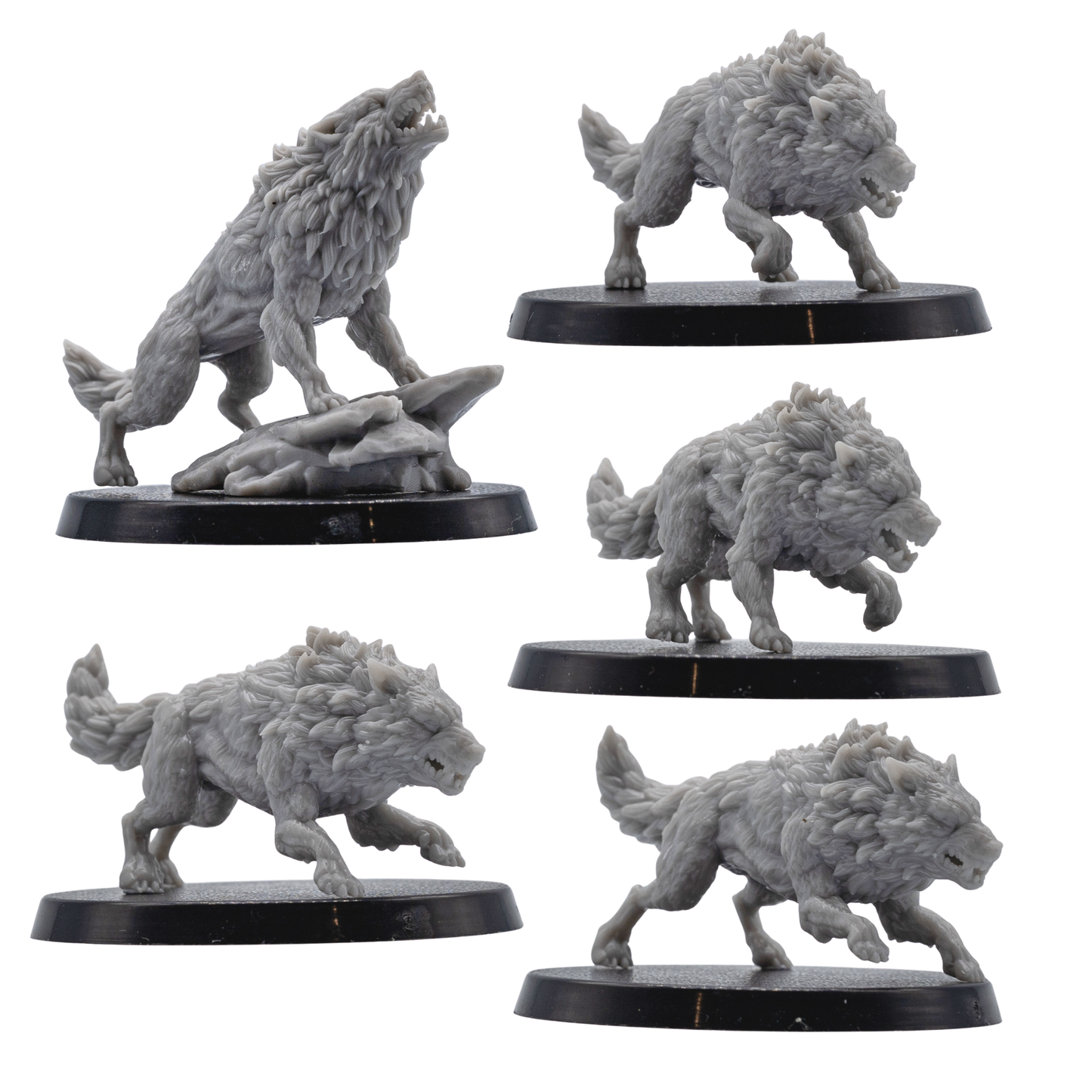 Front views of five unpainted Dire Wolf resin miniatures by Forged Path Miniatures on 40mm round bases.