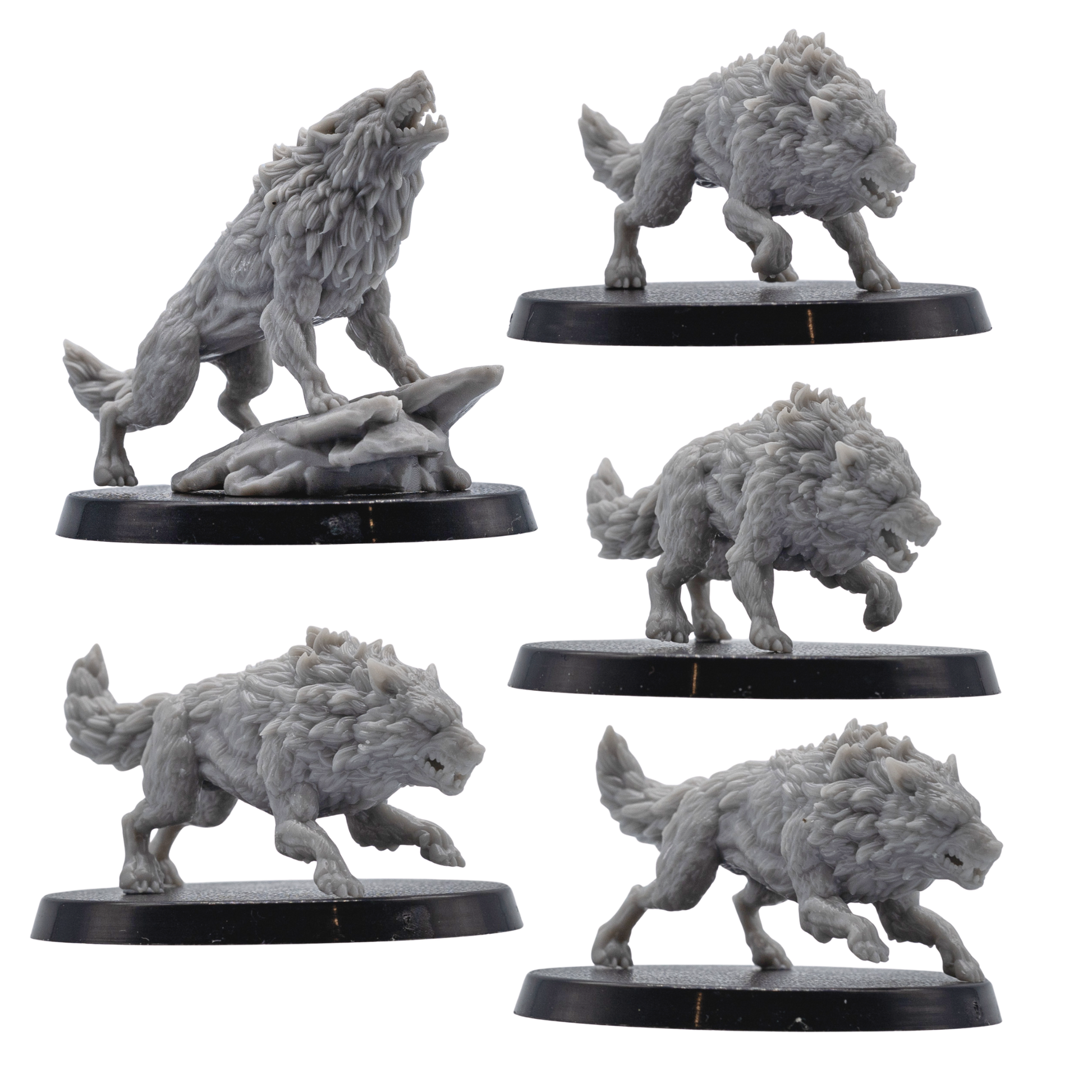 Front views of five unpainted Dire Wolf resin miniatures by Forged Path Miniatures on 40mm round bases.