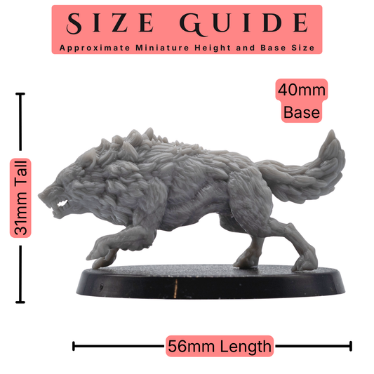Size guide for a 32mm scale Dire Wolf miniature by Forged Path Miniatures showing approximate height, length, and 40mm base size.