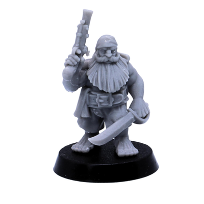 Painted group view of Dwarf Pirates miniatures showing a varied fantasy pirate crew with firearms, blades, and characterful poses.