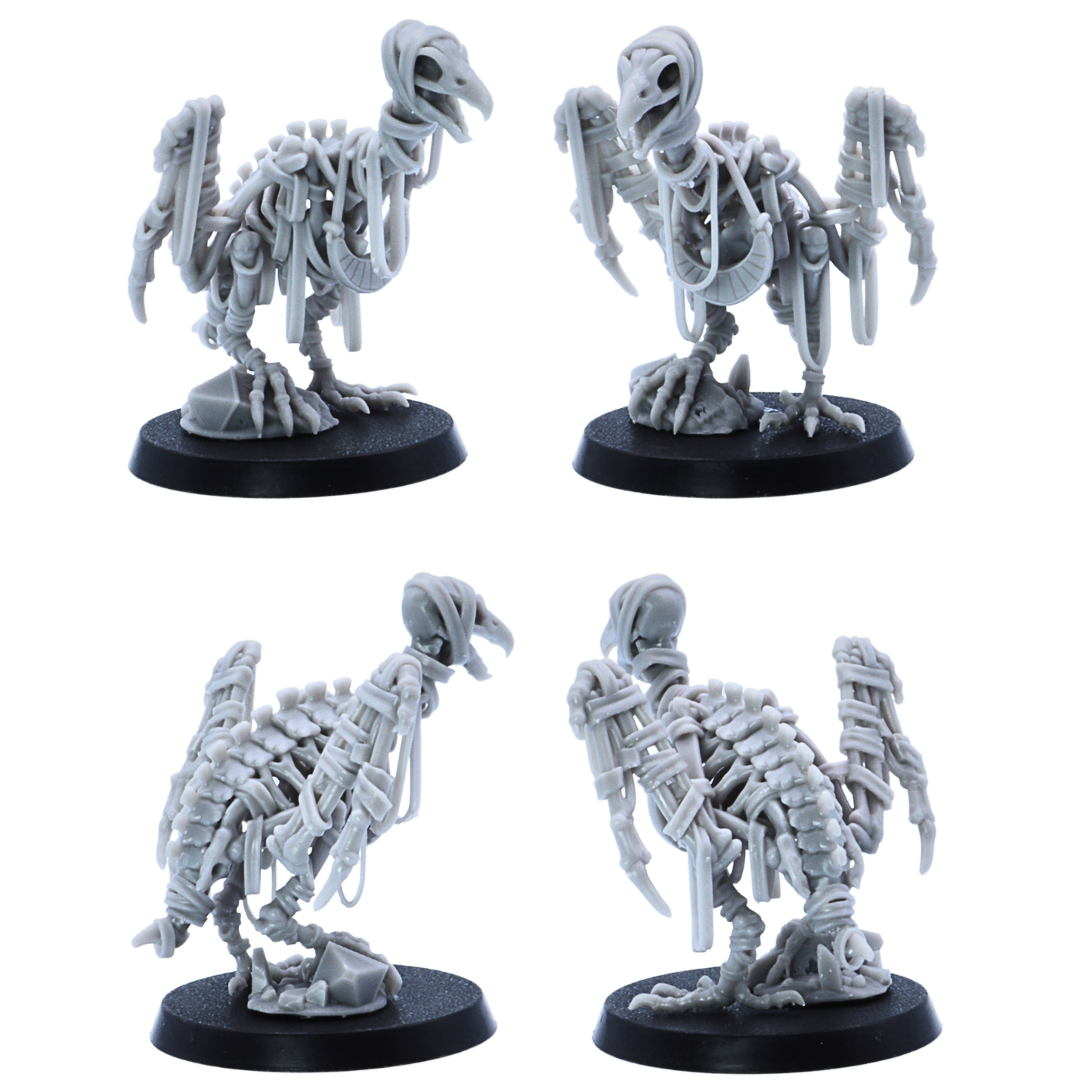 Standing Egyptian Vulture miniature shown from front, side, and rear angles on a 40mm round base.