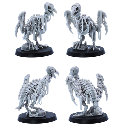 Standing Egyptian Vulture miniature shown from front, side, and rear angles on a 40mm round base.