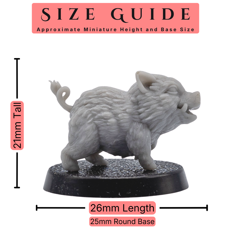 Size guide showing the baby boar familiar measuring approximately 21mm tall and 26mm long on a 25mm round base.