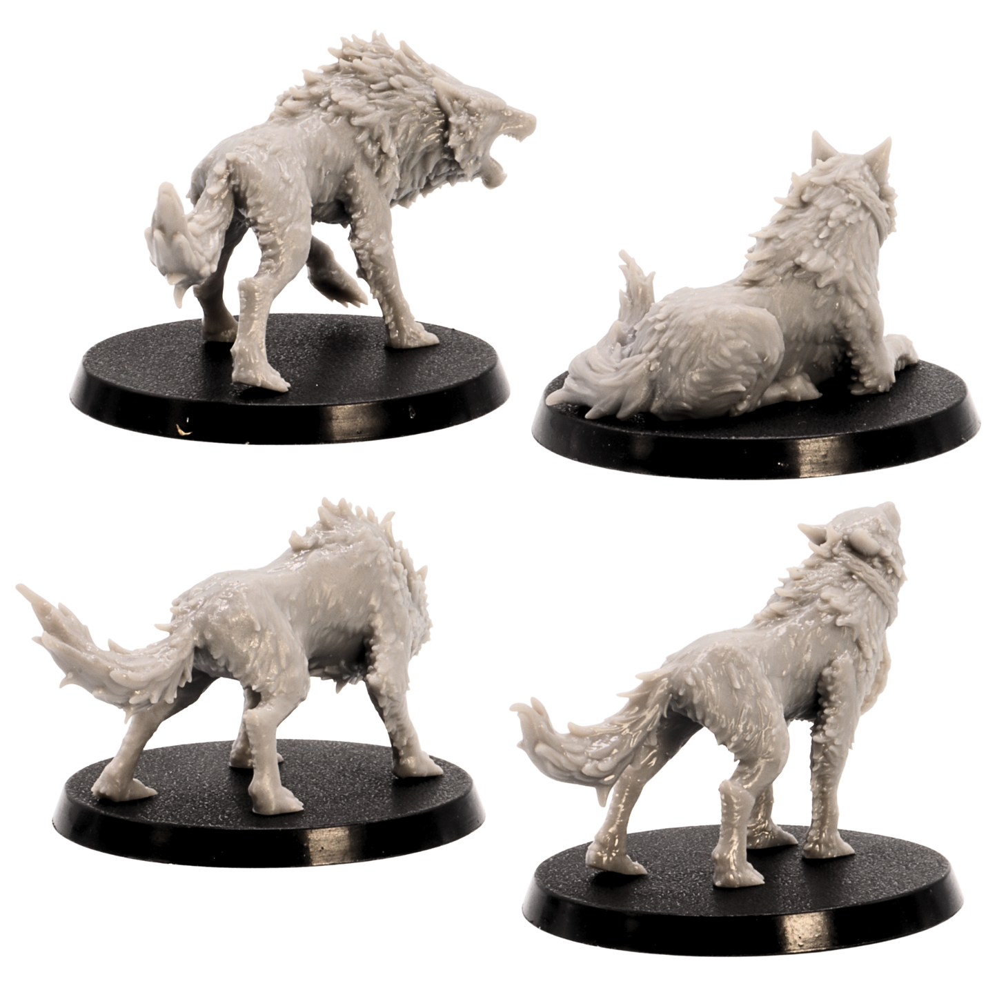 Unpainted Fenrir x 4 set showing rear views of wolf miniatures with detailed fur and tails on 50mm round bases.