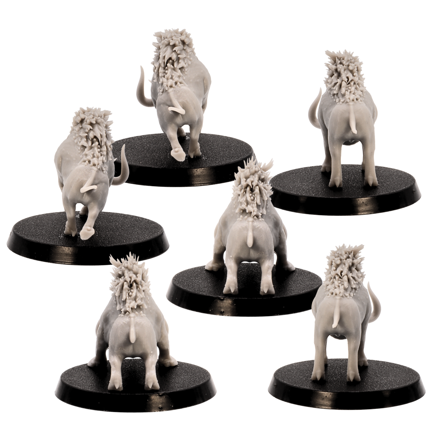 Unpainted Forest Boars miniature set showing rear views of six boar models with bristled backs and tails on 40mm round bases.