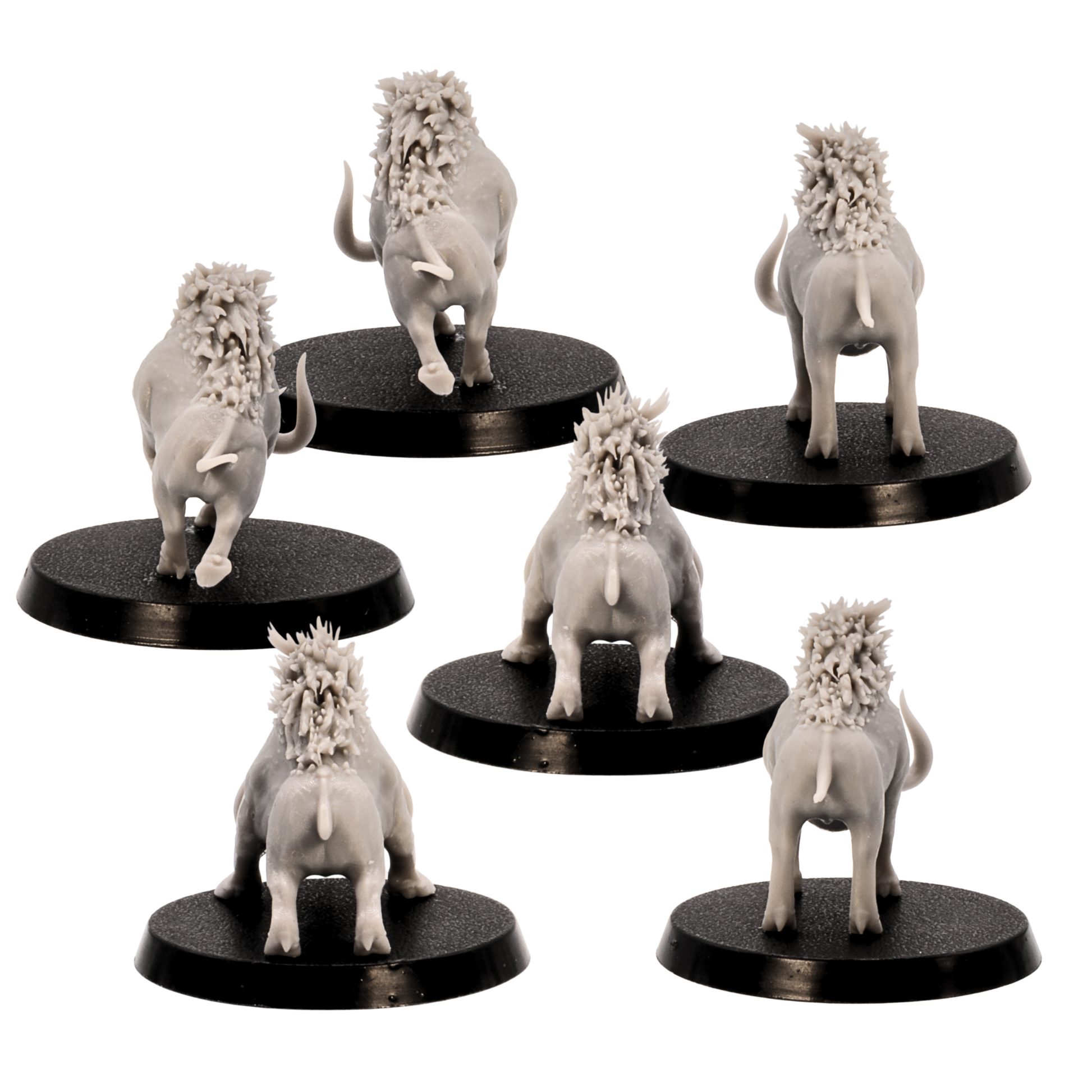 Unpainted Forest Boars miniature set showing rear views of six boar models with bristled backs and tails on 40mm round bases.