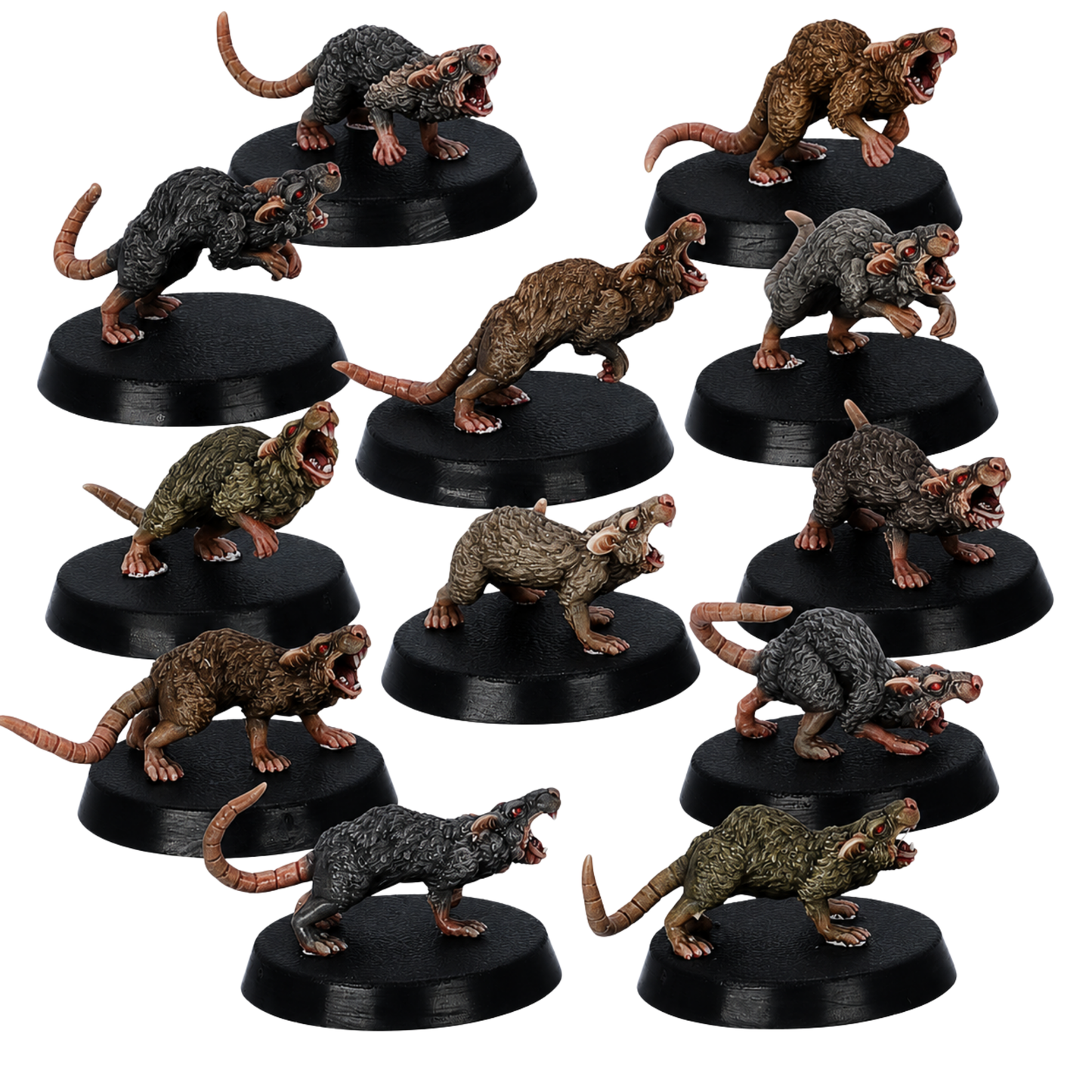 Painted Giant Rats set by Resin Warfare showing twelve 32mm fantasy rat miniatures on 25mm round bases.