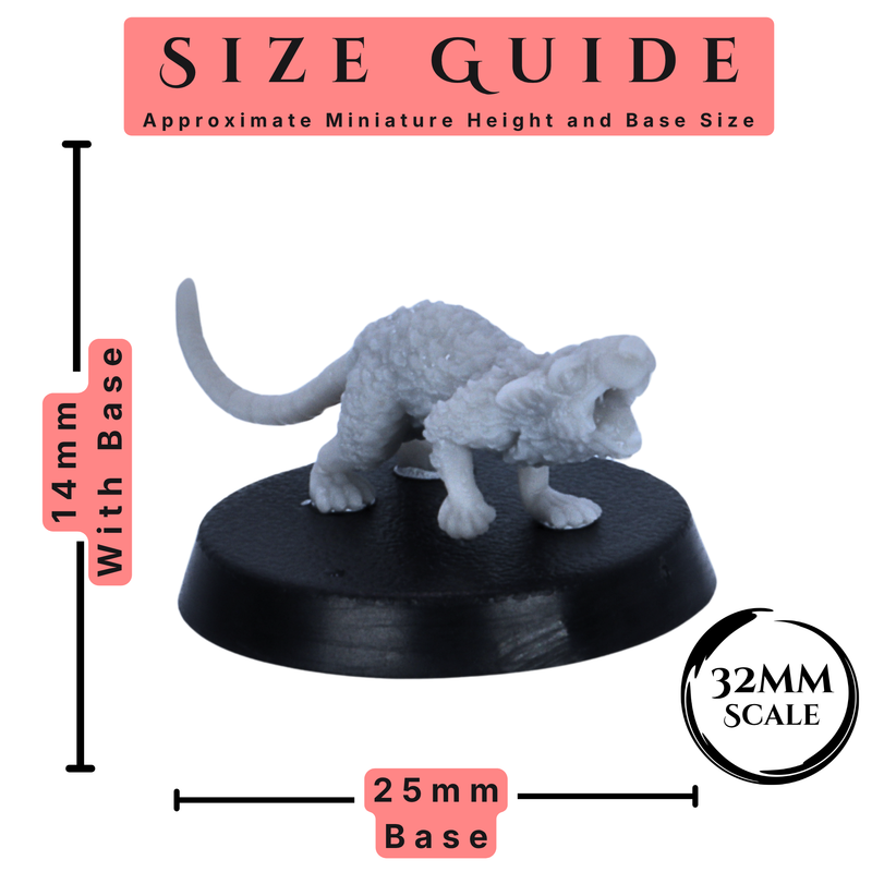 Size guide for Giant Rats miniatures showing 14mm height with base and 25mm round base size.