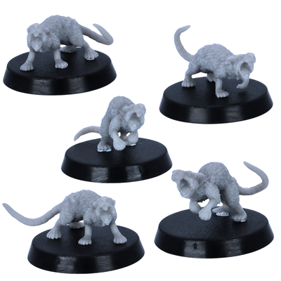 Unpainted Giant Rats miniatures showing close-up dungeon vermin poses with open mouths and claw details.