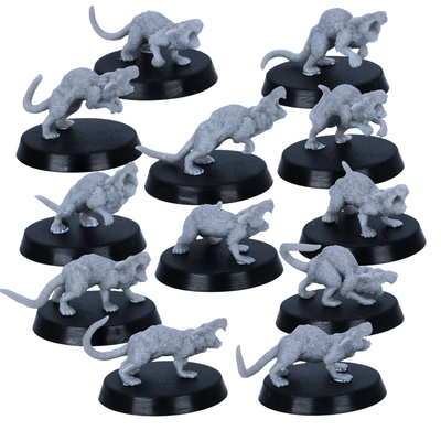 Unpainted Giant Rats set showing side-view crawling and snarling poses for fantasy tabletop RPGs.
