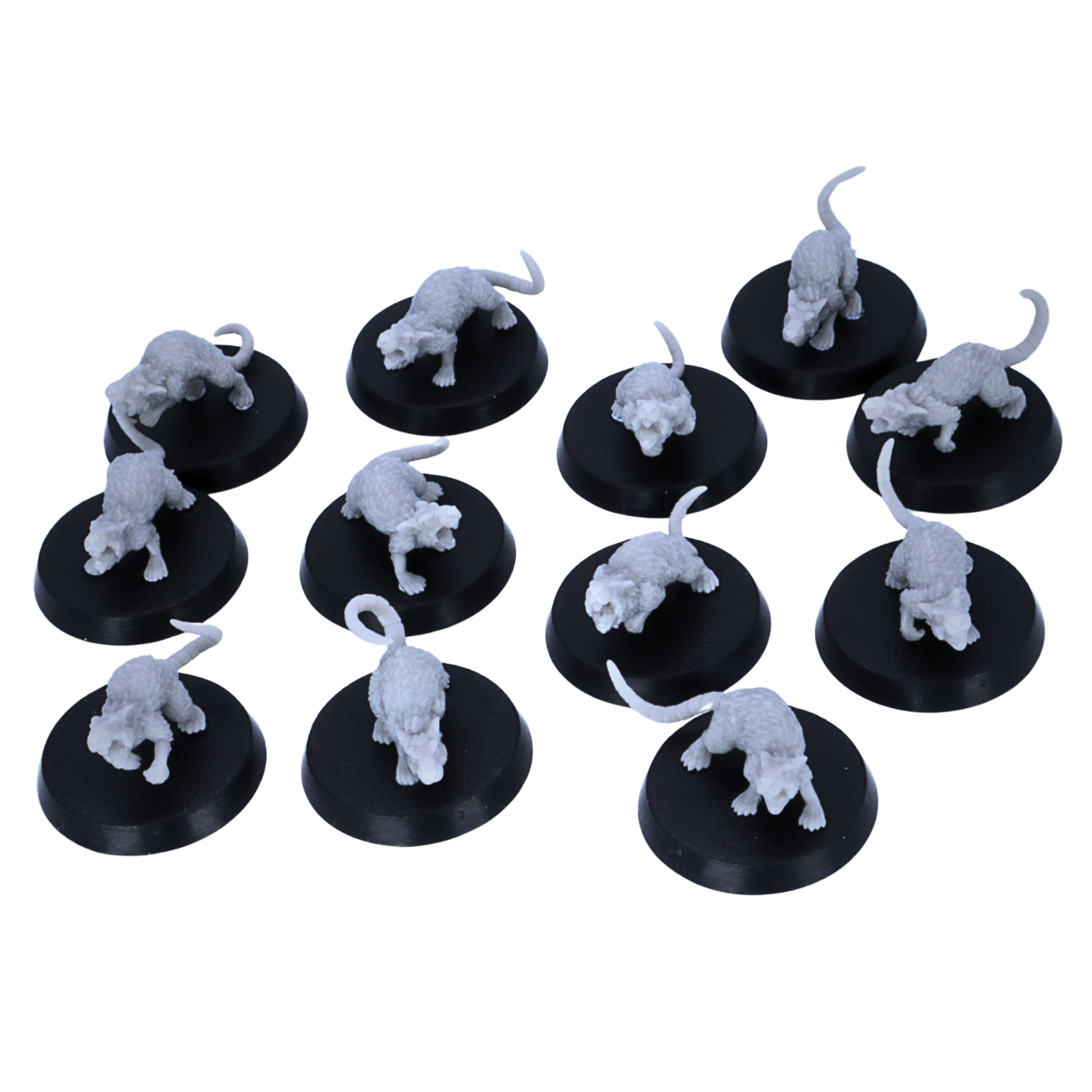 Unpainted Giant Rats miniatures showing multiple top-view poses on 25mm round bases.