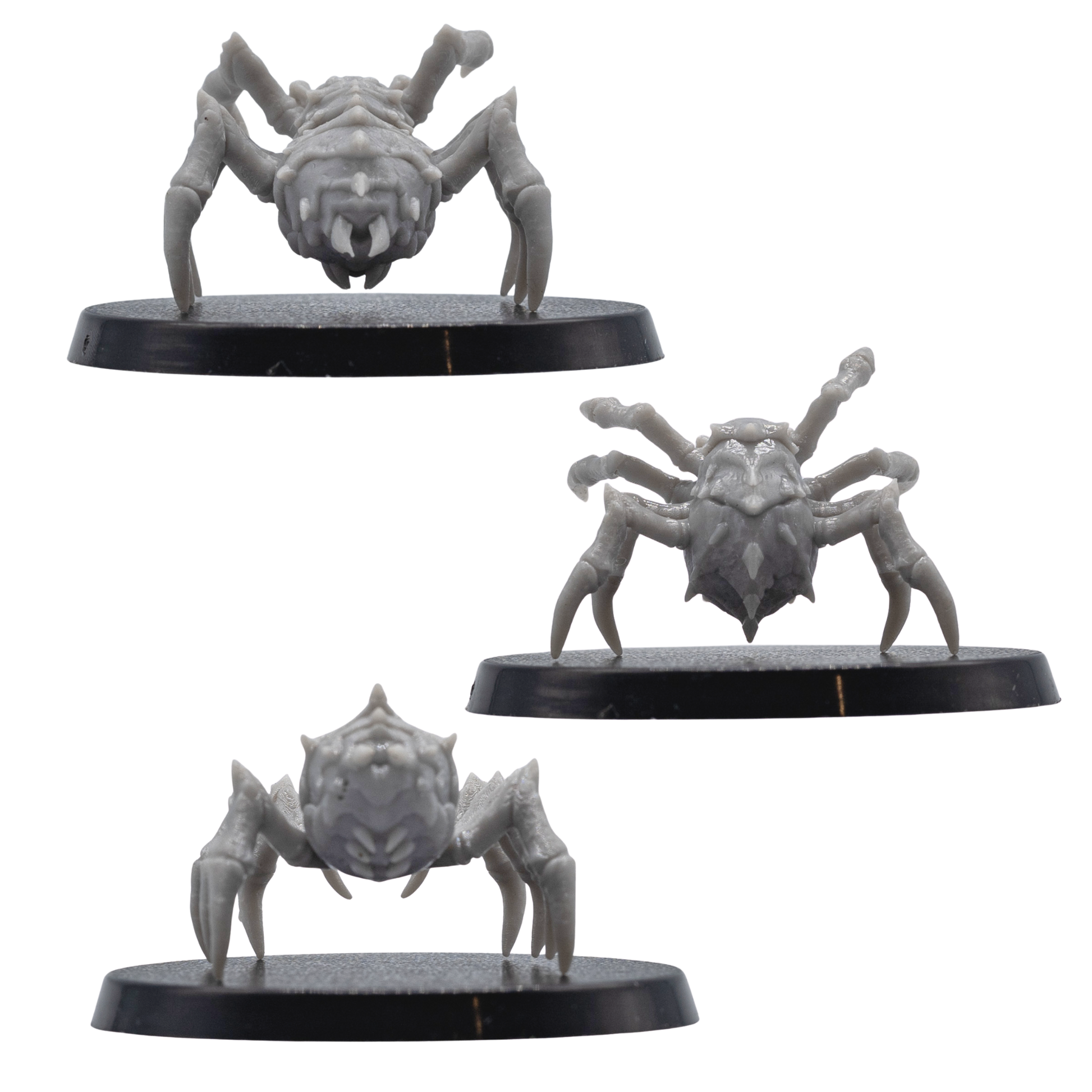 Back angle views of unpainted Giant Spider resin miniatures showing rear body detail, spiked armour plates, long legs, and round bases.