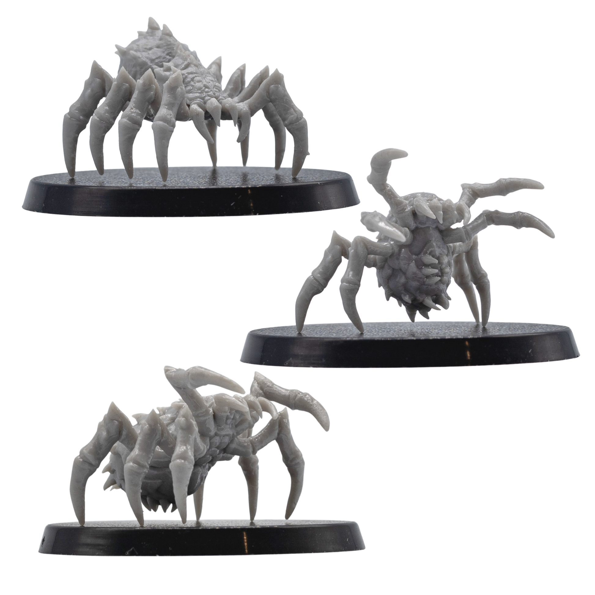 Front and side views of unpainted Giant Spider miniatures showing raised legs, sharp mandibles, and detailed chitin armour.