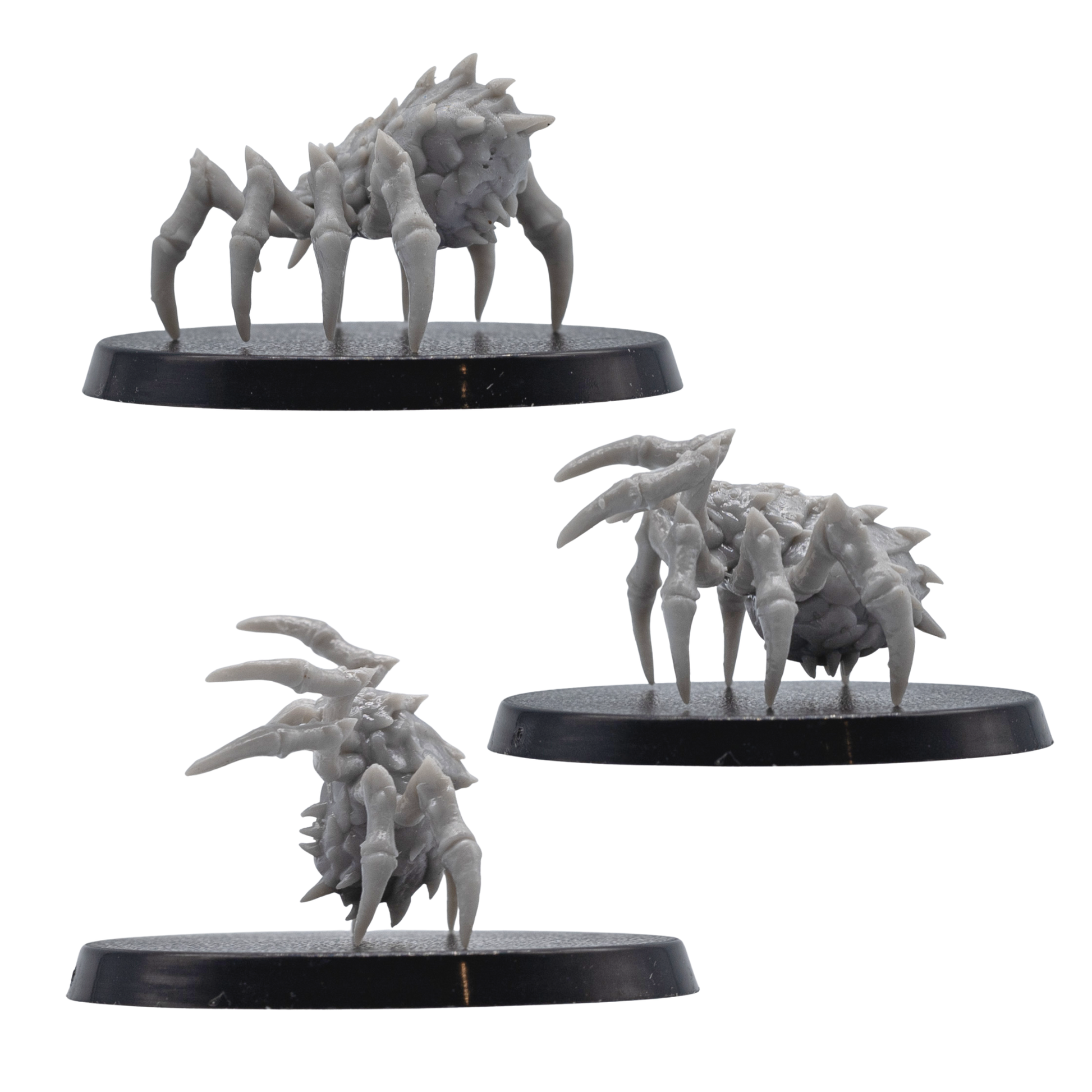 Front detail views of unpainted Giant Spider miniatures showing fangs, mandibles, pointed legs, and arachnid body sculpting.