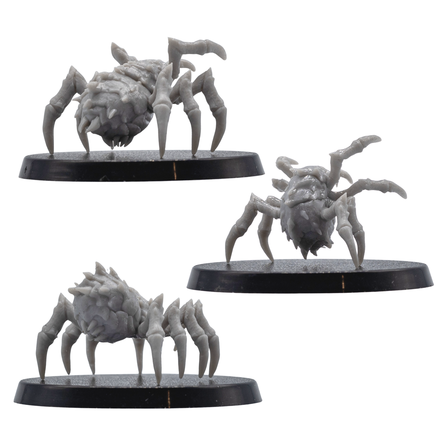 Rear and front views of unpainted Giant Spider resin miniatures showing spiked abdomen detail, fangs, legs, and round bases.