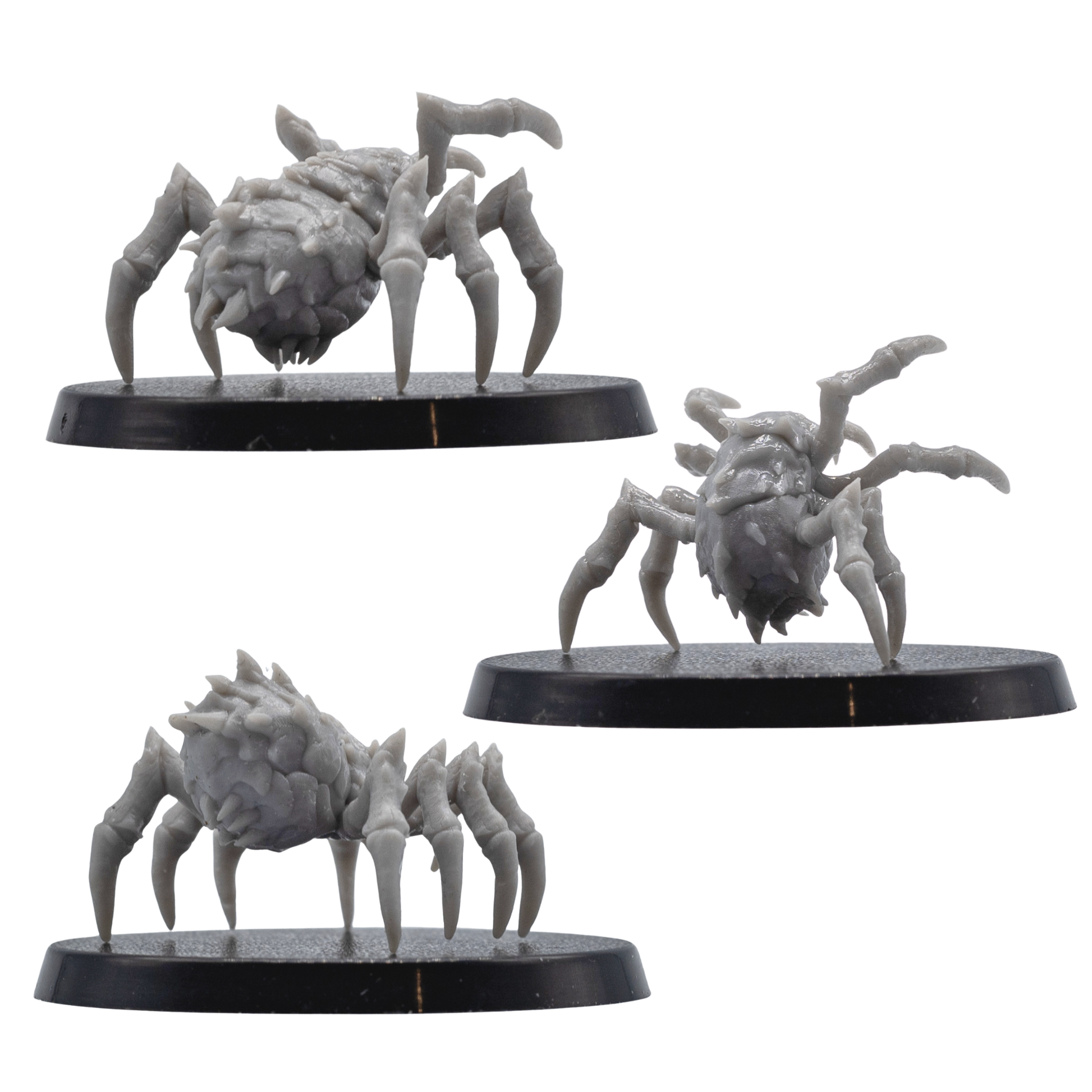Rear and front views of unpainted Giant Spider resin miniatures showing spiked abdomen detail, fangs, legs, and round bases.