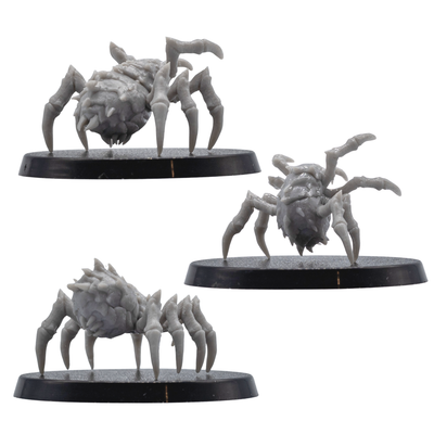Rear and front views of unpainted Giant Spider resin miniatures showing spiked abdomen detail, fangs, legs, and round bases.