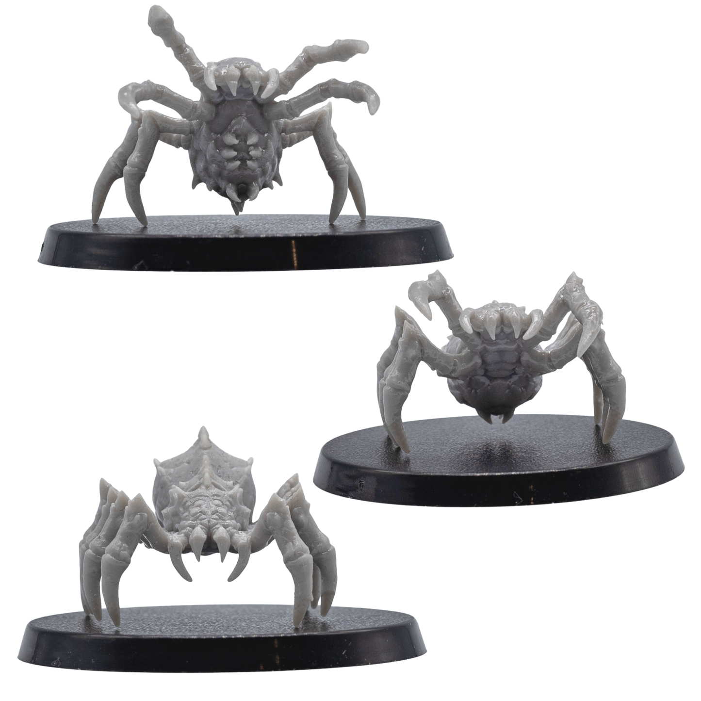 Side and rear views of unpainted Giant Spider miniatures showing long curved legs, spiked bodies, and 40mm round bases.