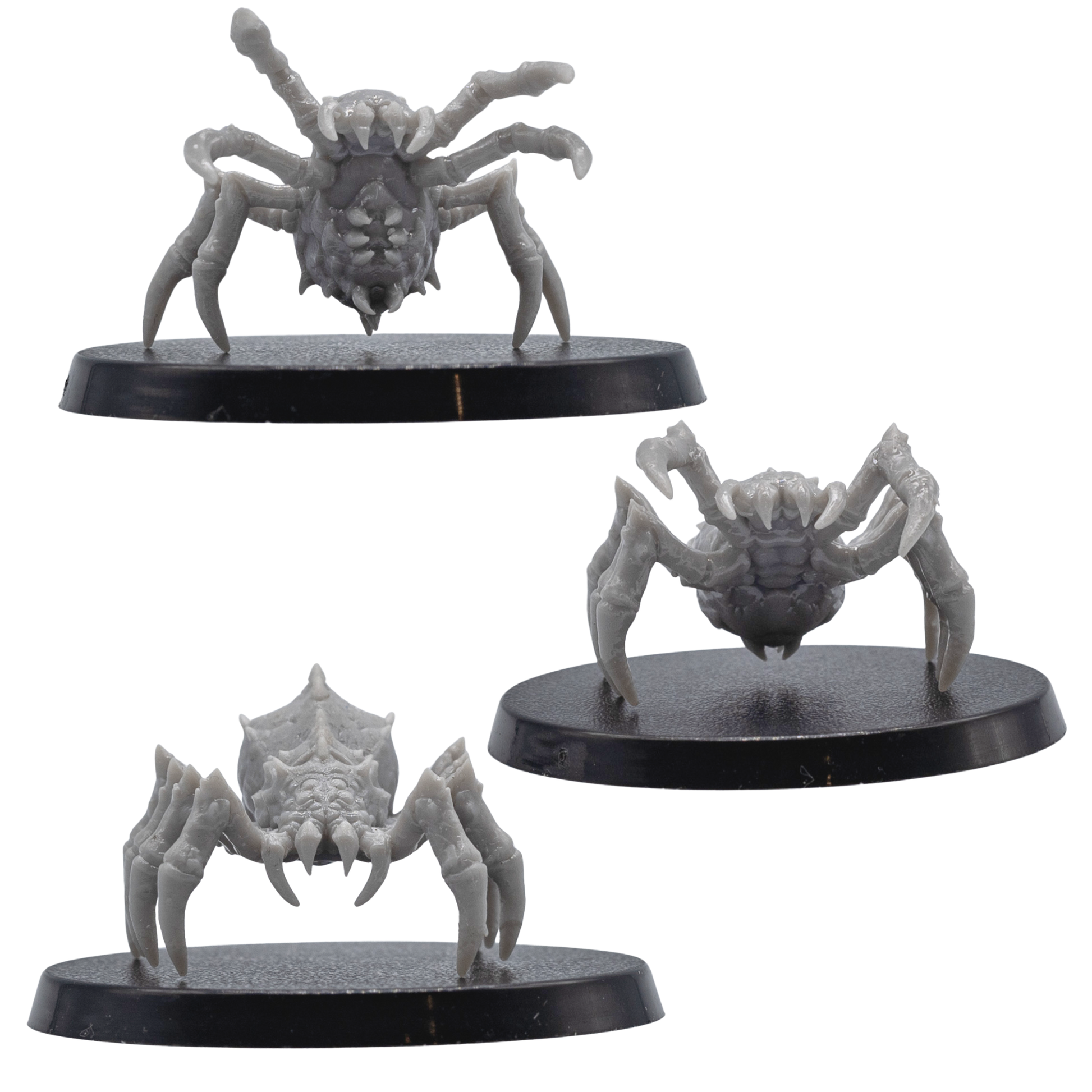 Side and rear views of unpainted Giant Spider miniatures showing long curved legs, spiked bodies, and 40mm round bases.