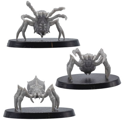 Side and rear views of unpainted Giant Spider miniatures showing long curved legs, spiked bodies, and 40mm round bases.