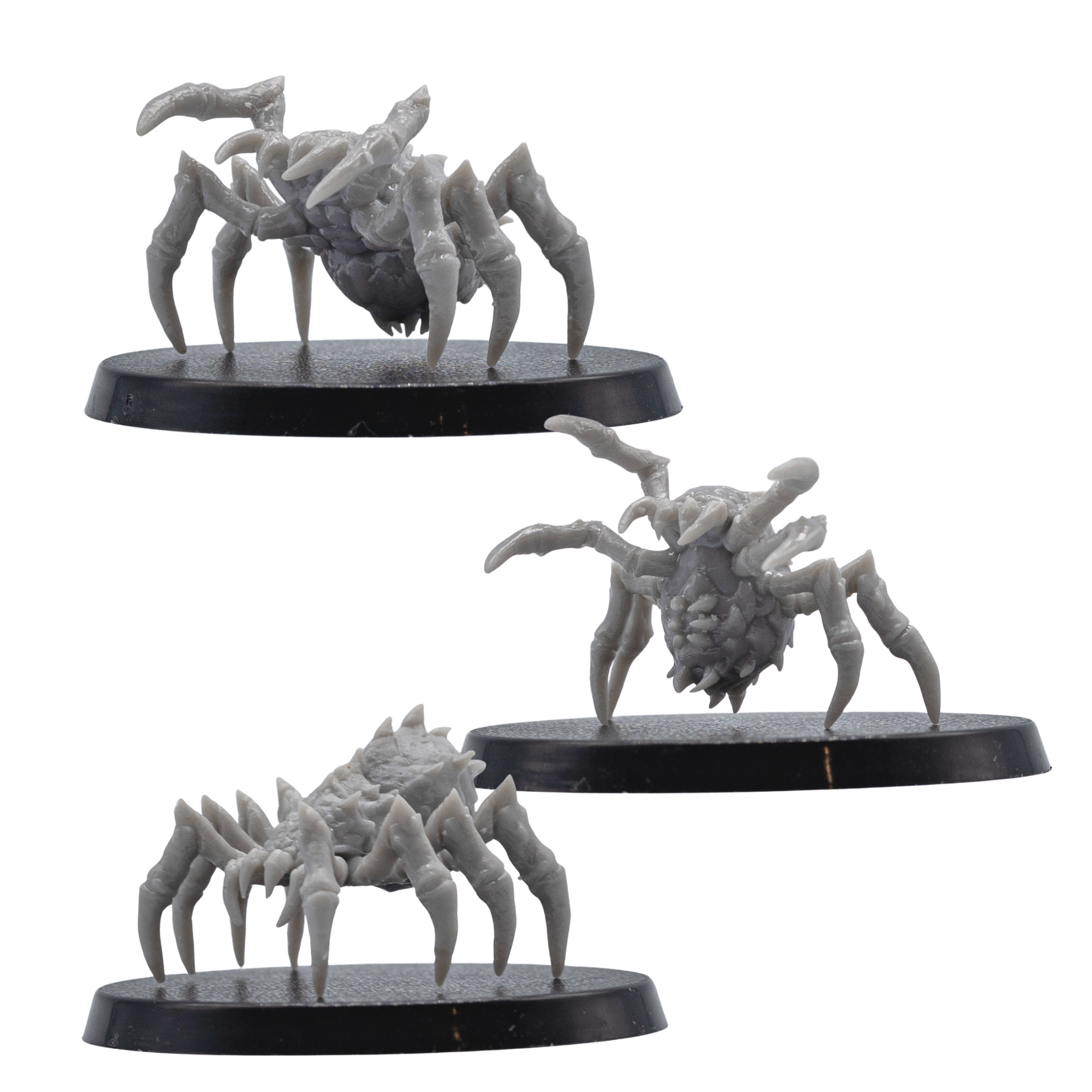Unpainted Giant Spider resin miniatures showing multiple angle views with spiked bodies, long legs, fangs, and 40mm round bases.