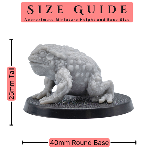 Size guide for Giant Toads by Forged Path Miniatures showing a 25mm tall toad on a 40mm round base.