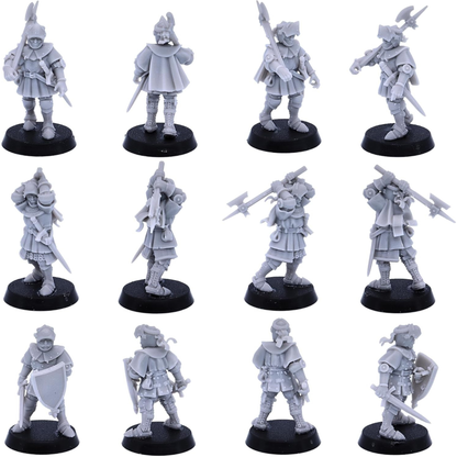 Medieval knight characters with sword, heraldic equipment and detailed plate and mail armour.