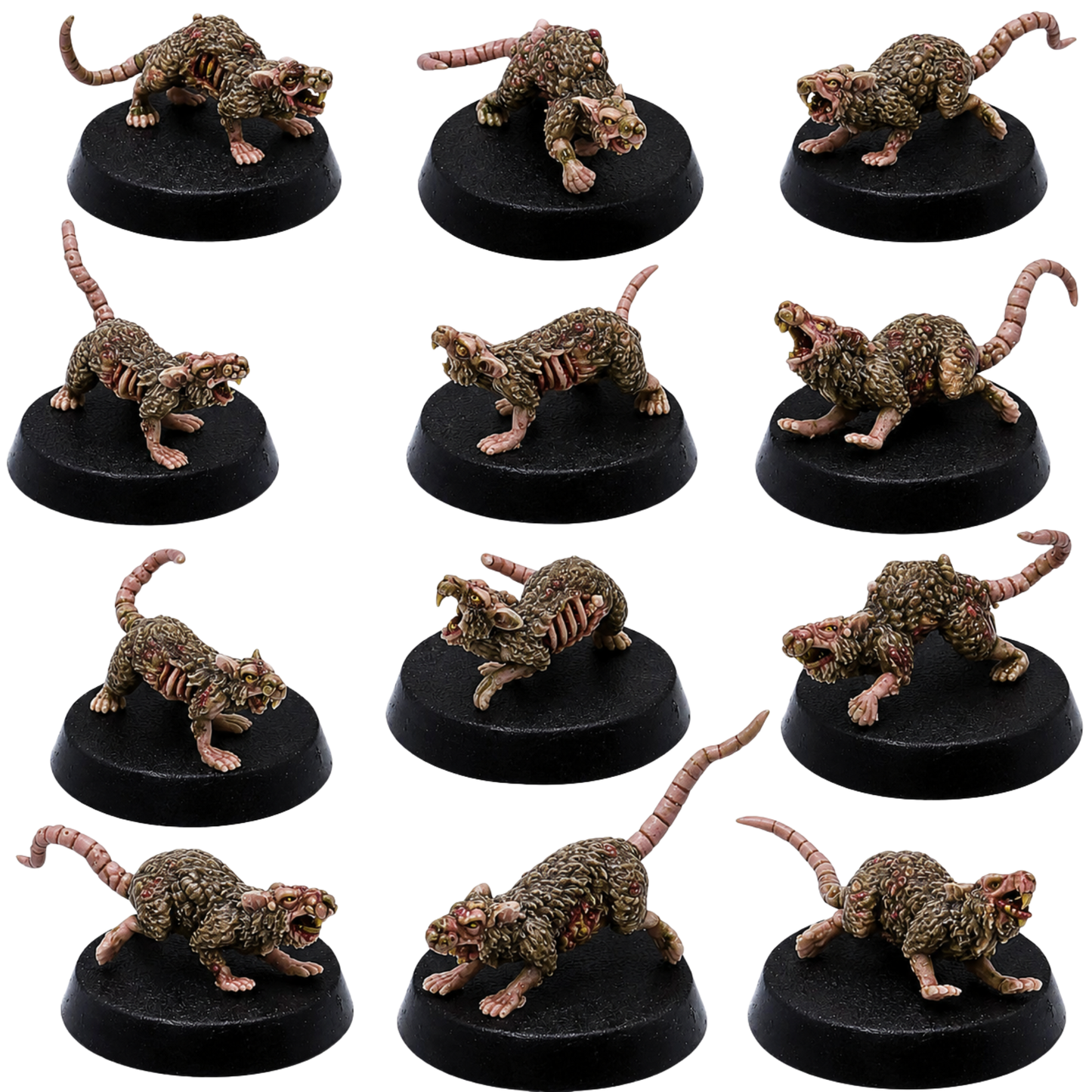 Painted Pox Rats set of 12 by Resin Warfare showing diseased fantasy rat miniatures with exposed ribs, wounds, mutations, and aggressive poses.