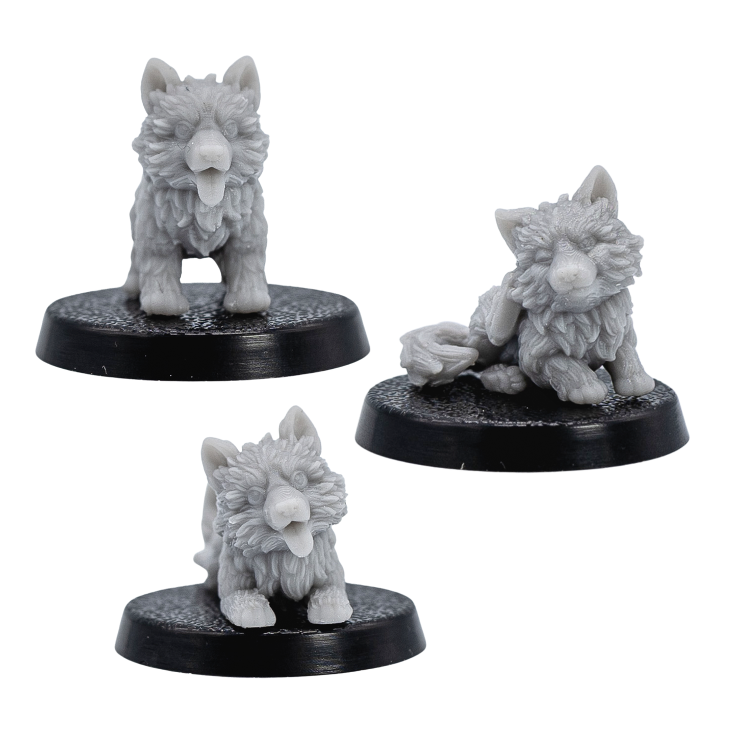 Front views of unpainted Puppy Familiars by Forged Path Miniatures on 25mm round bases.