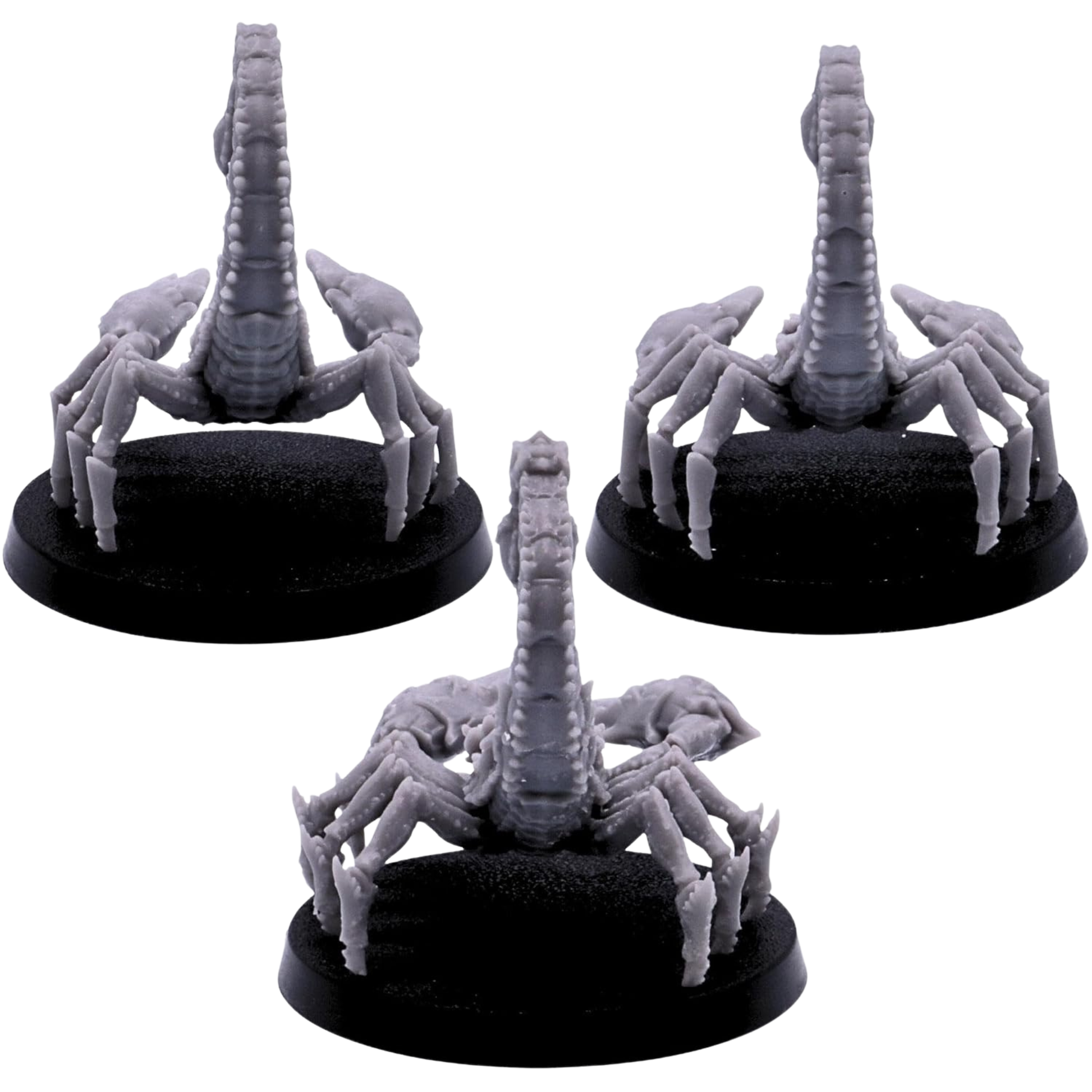 Rear views of three unpainted giant Scorpion miniatures showing segmented tails, multiple jointed legs, and armoured bodies on 50mm round bases.