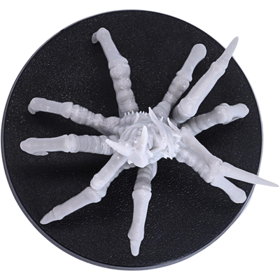 Top-down view of the Spider of Leng miniature showing the full spread of its eight spider legs across the 50mm round base.