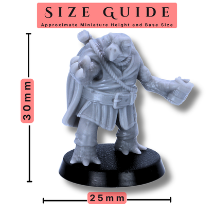 Size guide for Turtle Folk miniature showing 30mm height and 25mm round base size.