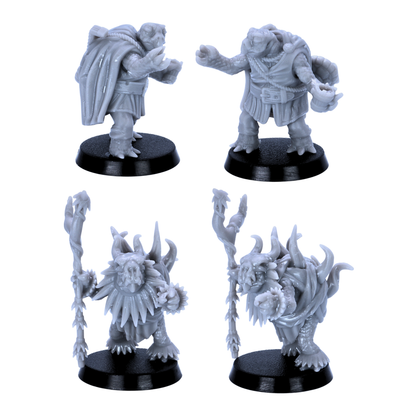 Unpainted Turtle Folk miniatures showing close-up views of turtle shell details, armour, staffs, weapons, and fantasy clothing.